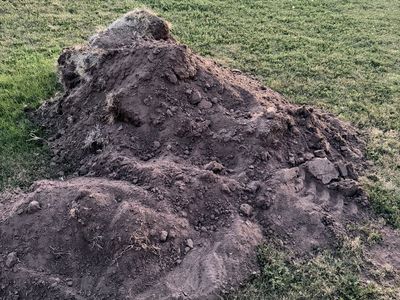 Free dirt