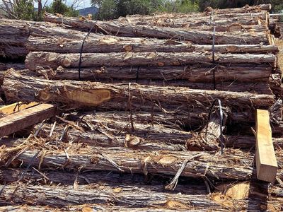 8' Cedar Posts