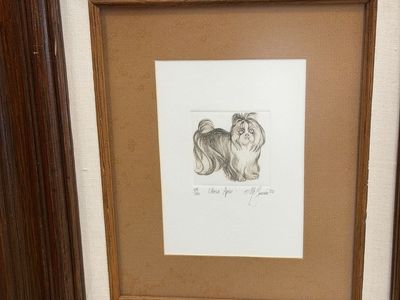 Lhasa Apso Dog Drawing by McGinnis (1980) - Framed Wall Art