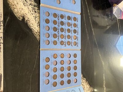 Indian head penny collection