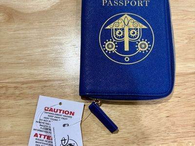 Disney Passport Holder With Zipper Closure