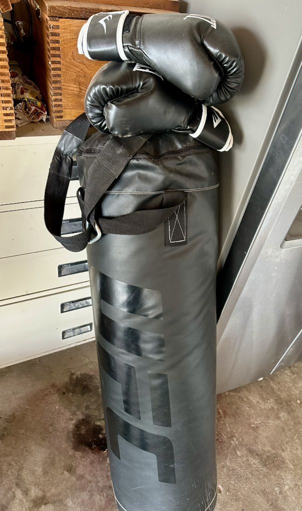 UFC punching bag