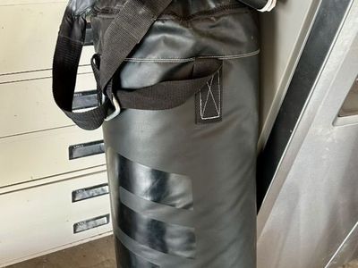 UFC punching bag
