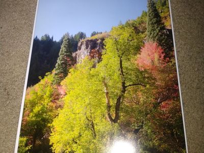 Nature photographs 19 X 13 inch