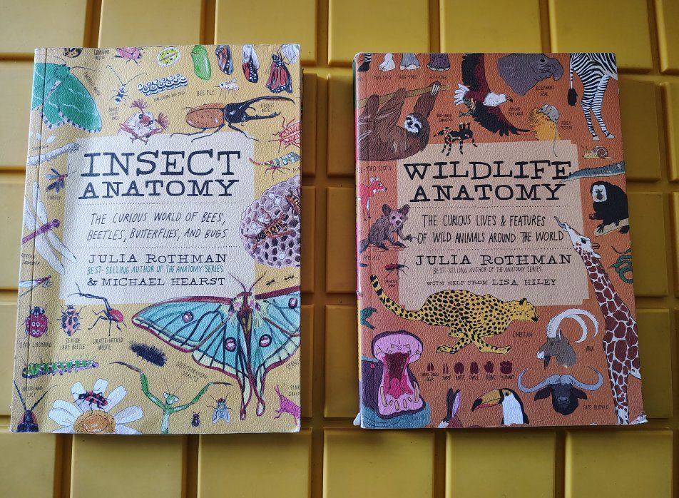 Insect anatomy and Wildlife Anatomy Julia Rothman paperback like new