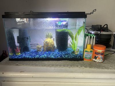 Fish Tank With Fish, Decor, Filter, Food