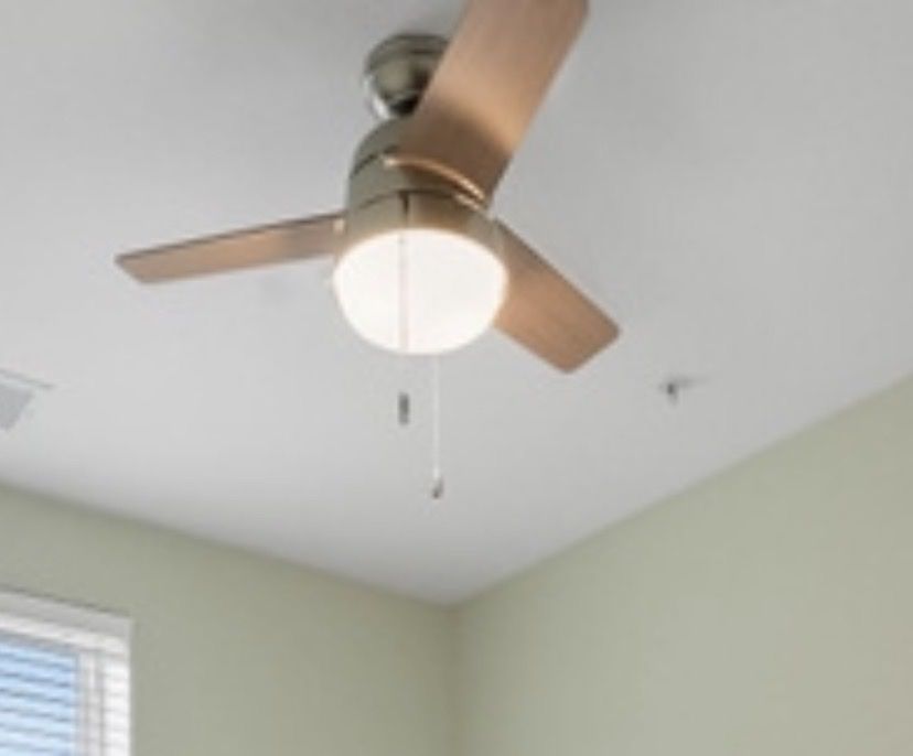 Extra small Hunter ceiling fan