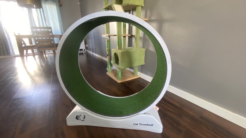 Coziwow Cat Running Treadmill