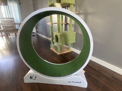 Coziwow Cat Running Treadmill