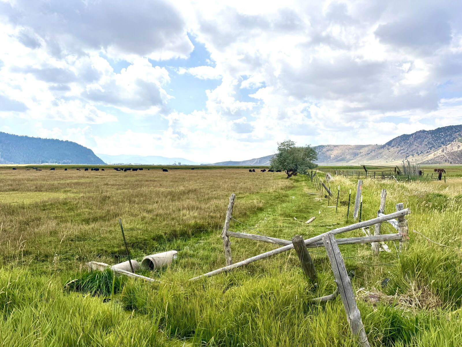 Soda Springs, Idaho - 266.14+/- Acres w/Pond