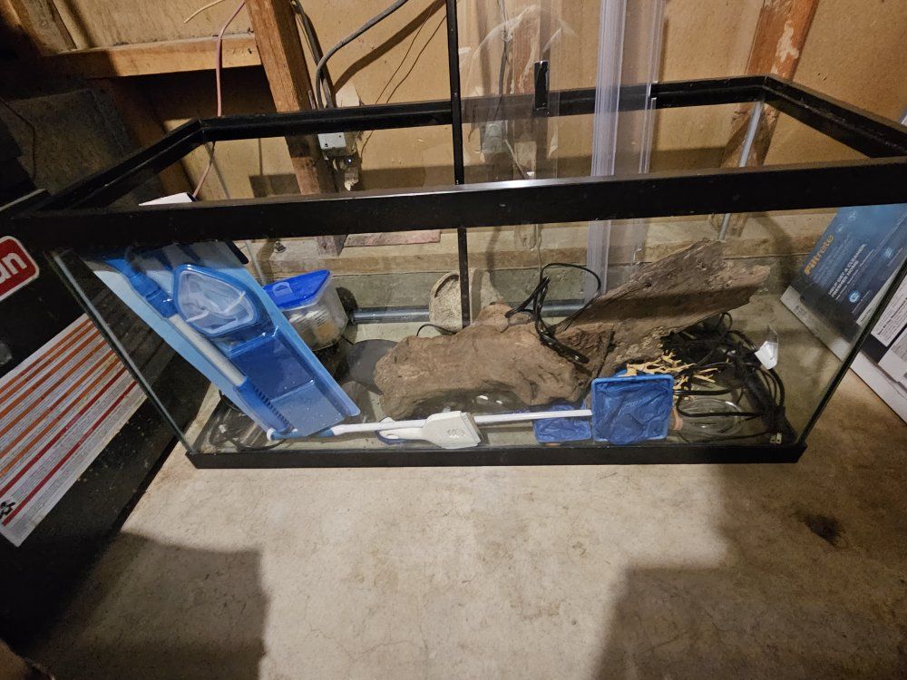 40 gallon fish tank and equipment