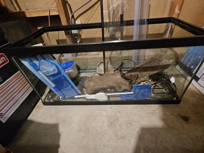40 gallon fish tank and equipment