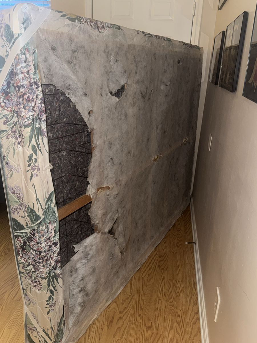 Main image 3