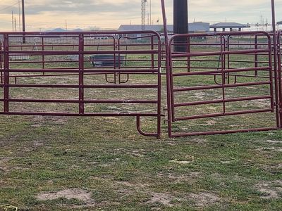 Tarter round pen horse/cattle panels