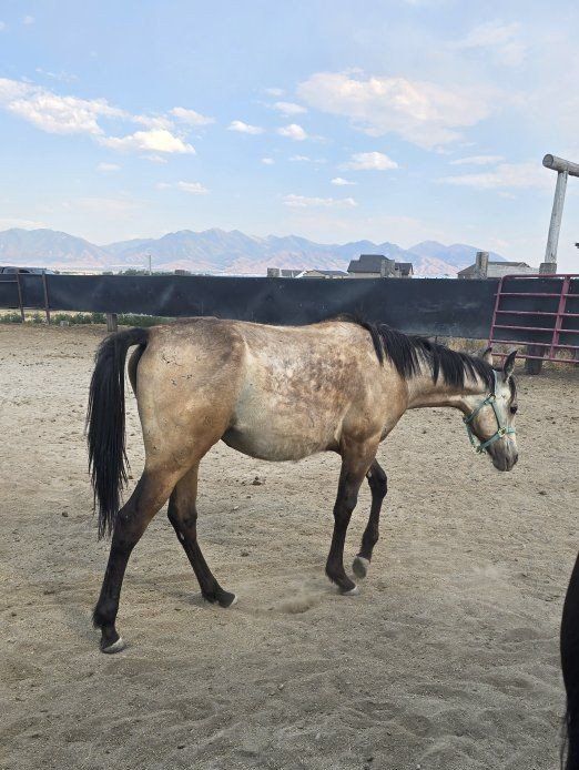 Main image 3