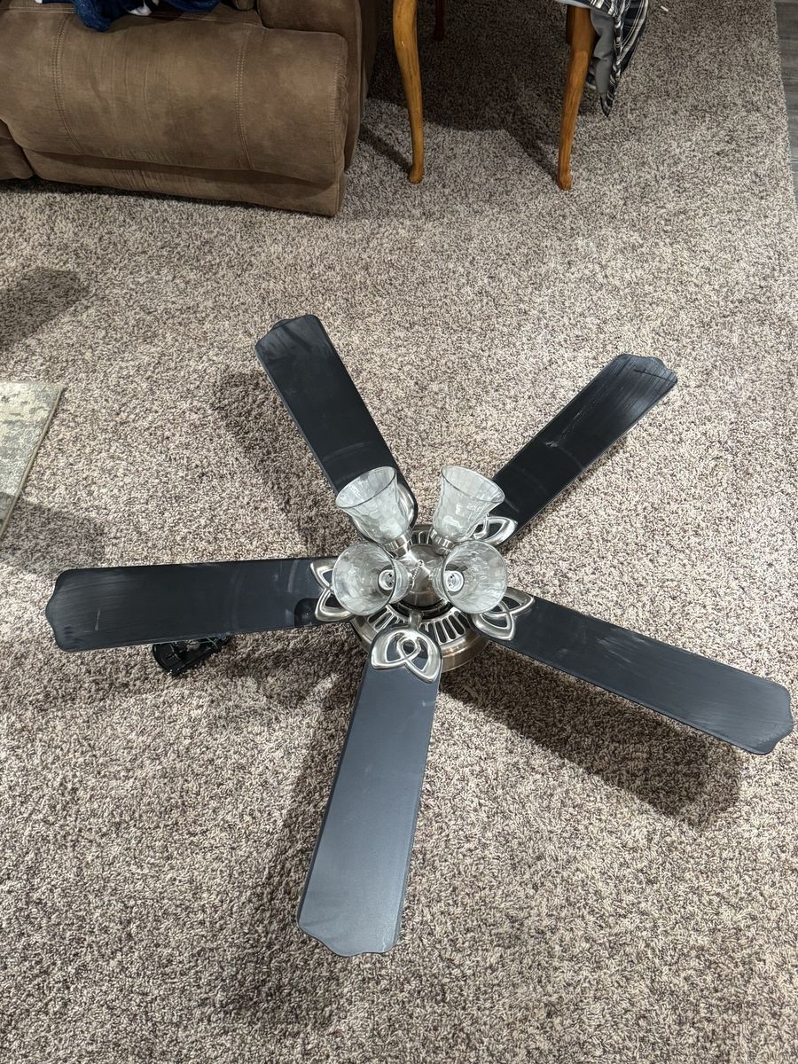Hampton Bay Ceiling Fan with 5 Black Blades