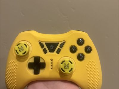 Nintendo Switch Pro Controller