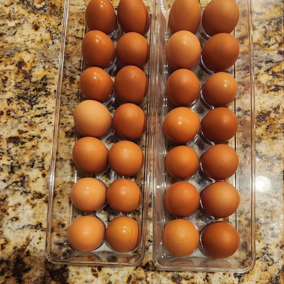 Farm Fresh Eggs $3/dozen