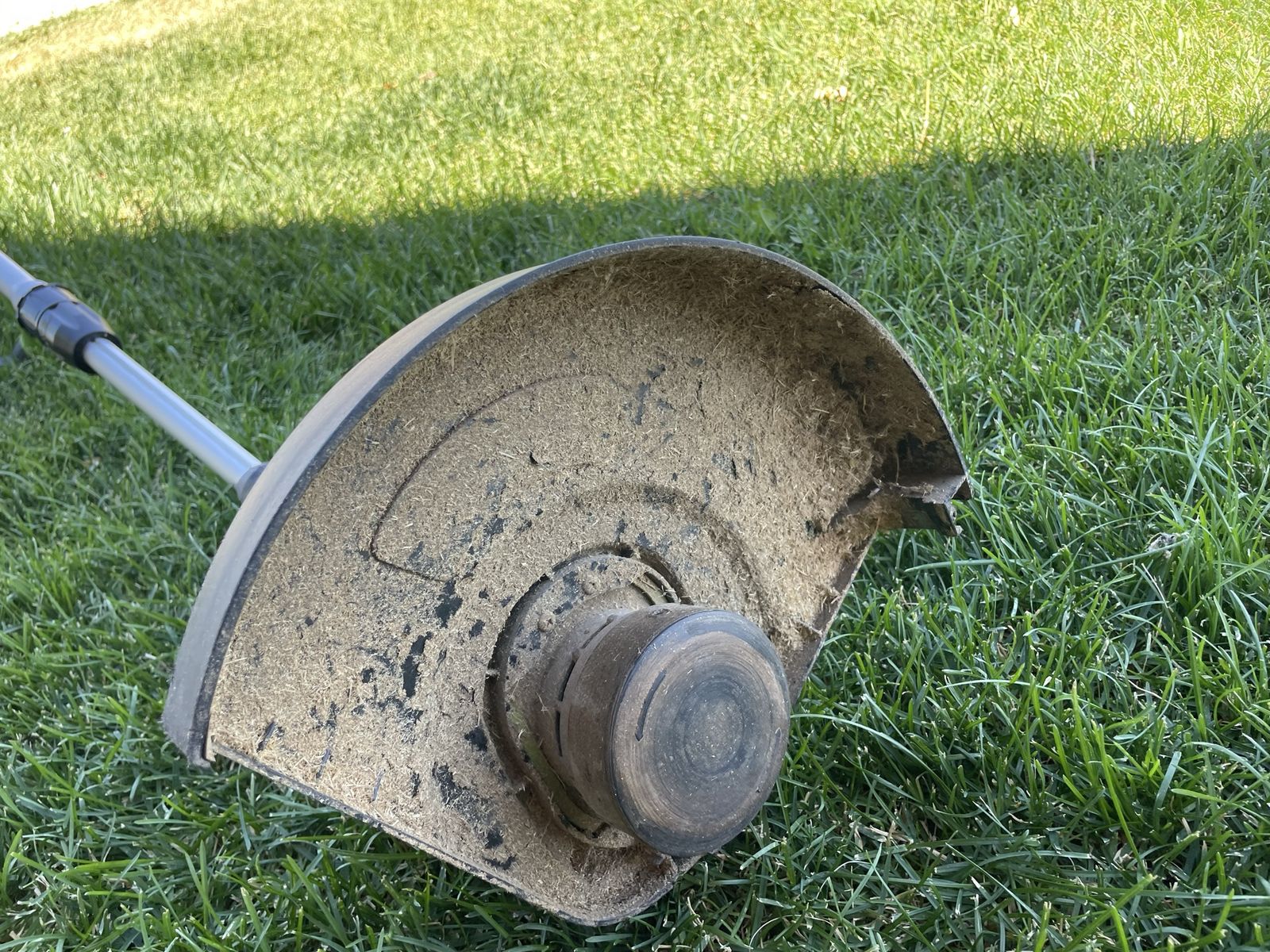 Main image 5