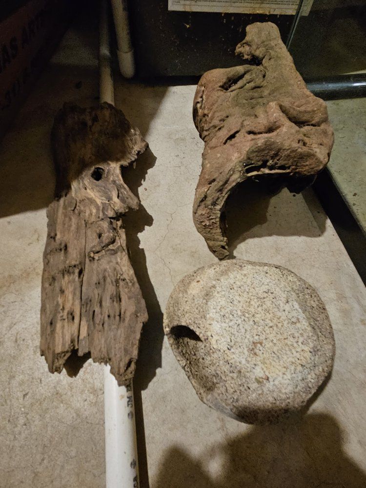 Main image 6