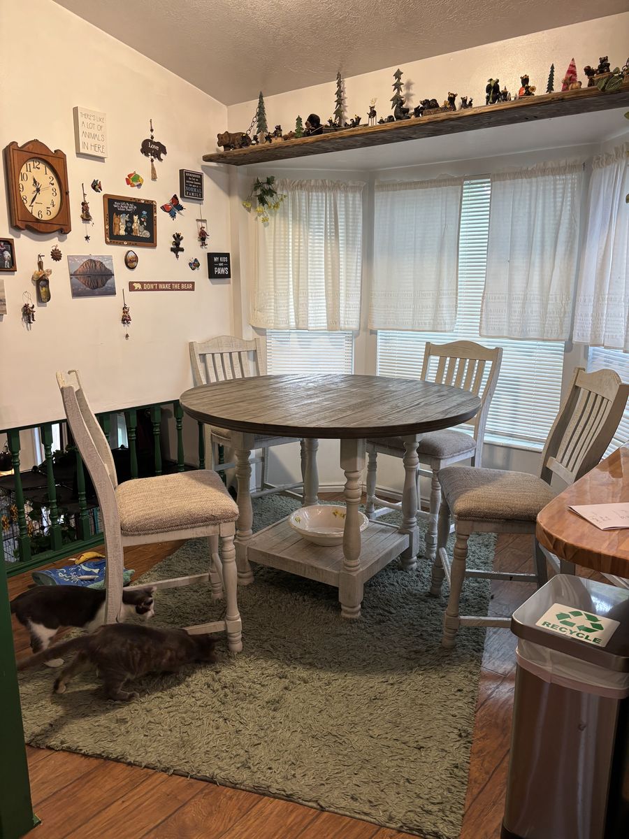 Kitten table