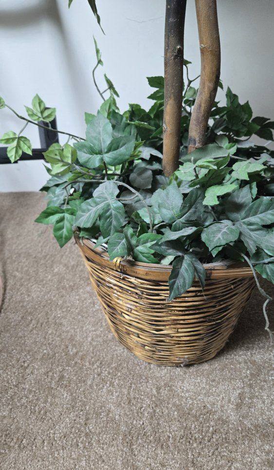 Artificial Ficus Trees