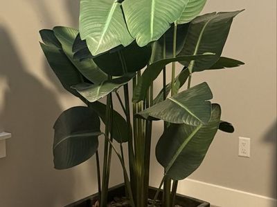 Indoor Artifical Palm Plant