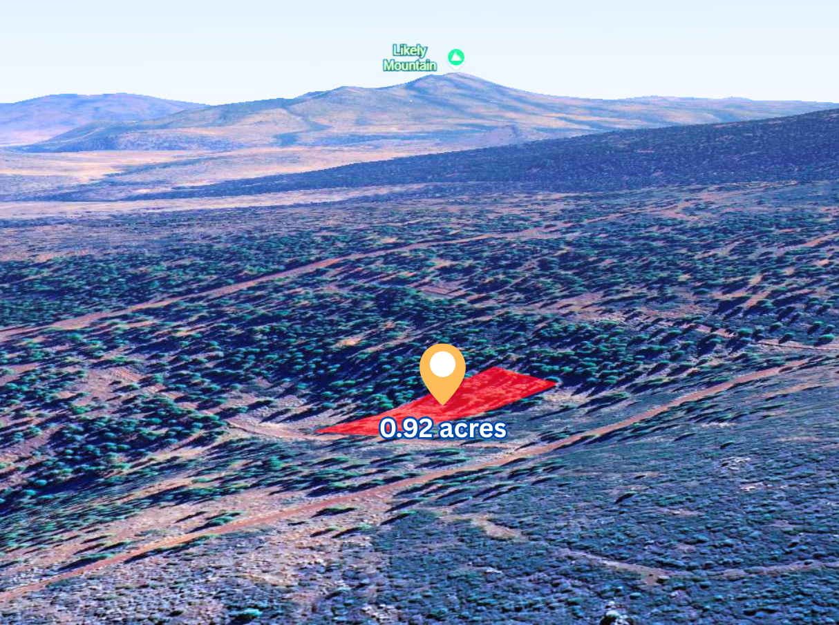 Main image 10