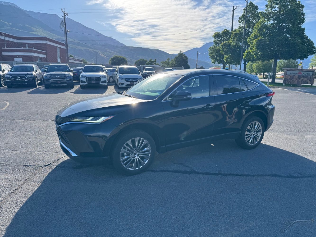 2024 Toyota Venza XLE