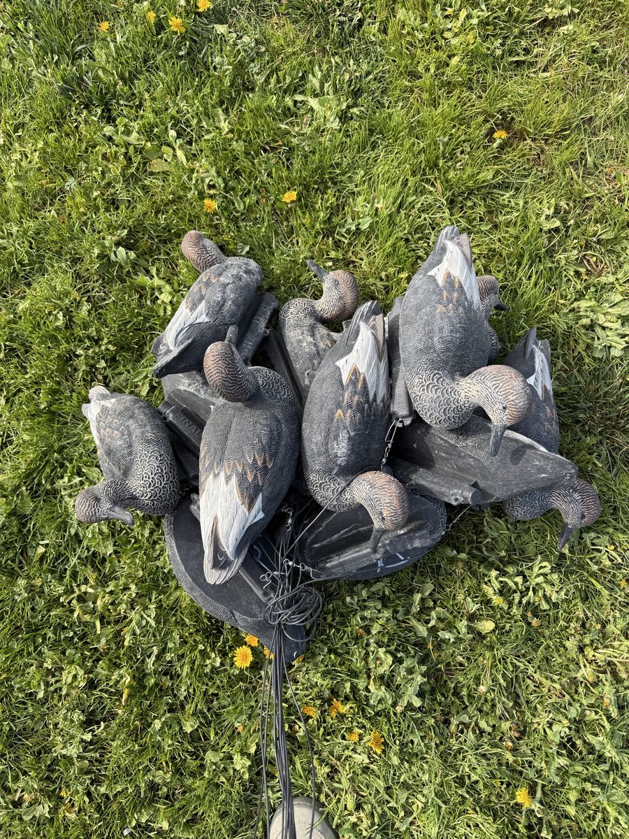 Final Approach Gadwall Decoys