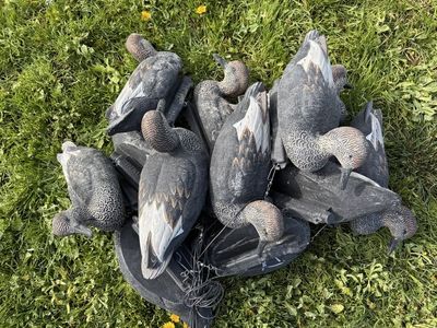 Final Approach Gadwall Decoys