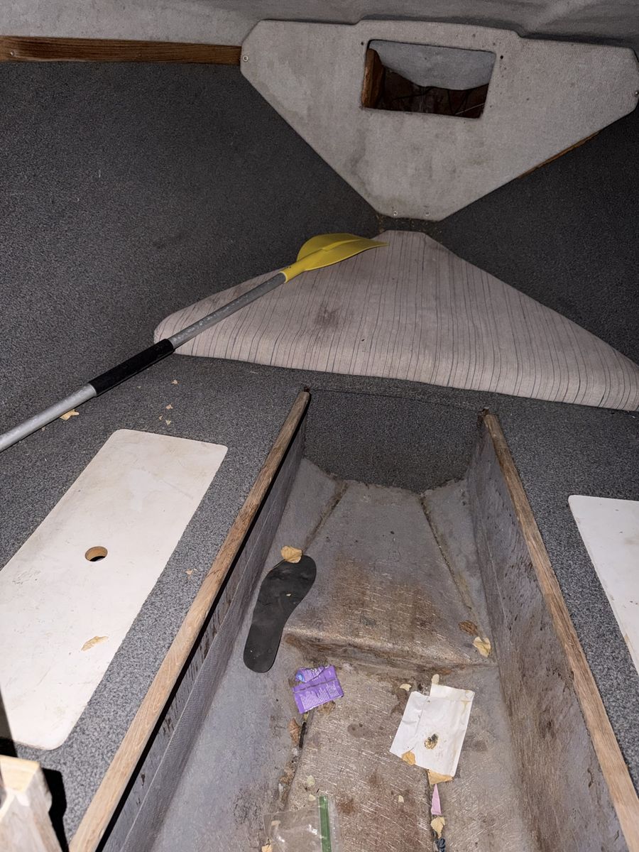 Main image 8