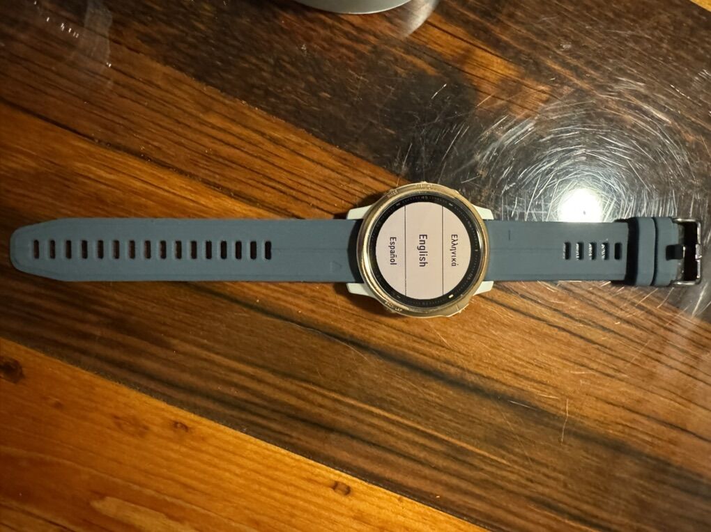 Garmin Fenix 6S Pro Watch