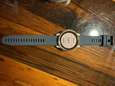 Garmin Fenix 6S Pro Watch