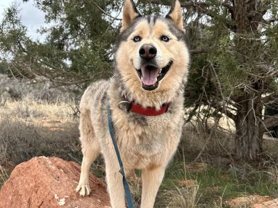 Hello my name is Hilo