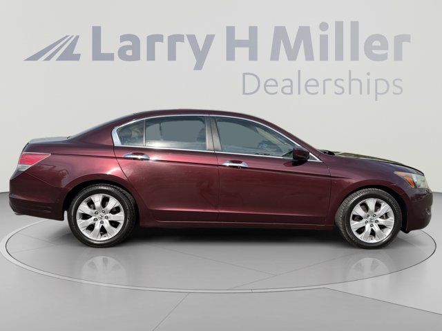 Main image 6