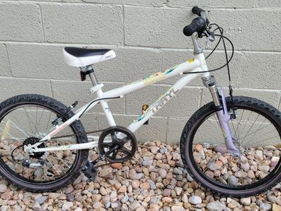 Trayl 20" Tire Kids Mountain Bike