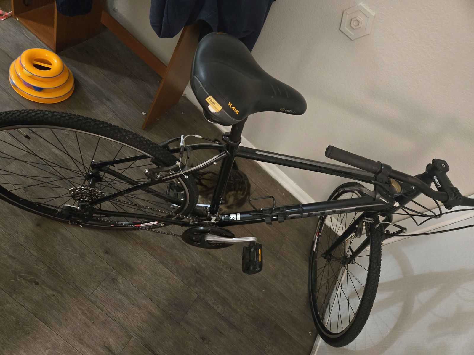 Hybrid Mountain/Road Bicycle