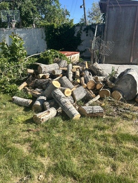 Free Firewood