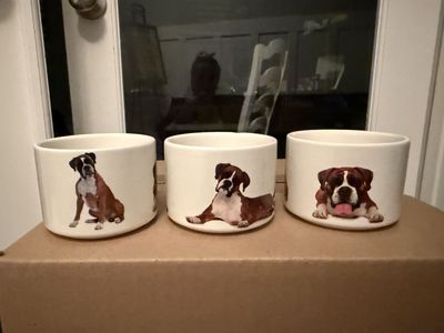 Super Super Cute Set Of 3 Planters With Boxer Dogs