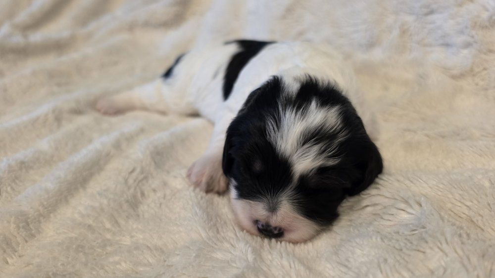 Main image 23