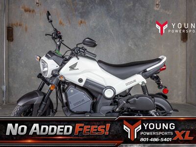 2025 Honda® Navi White