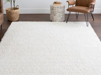 Solid 9x12 Shag Indoor Area Rug, New In Pkg