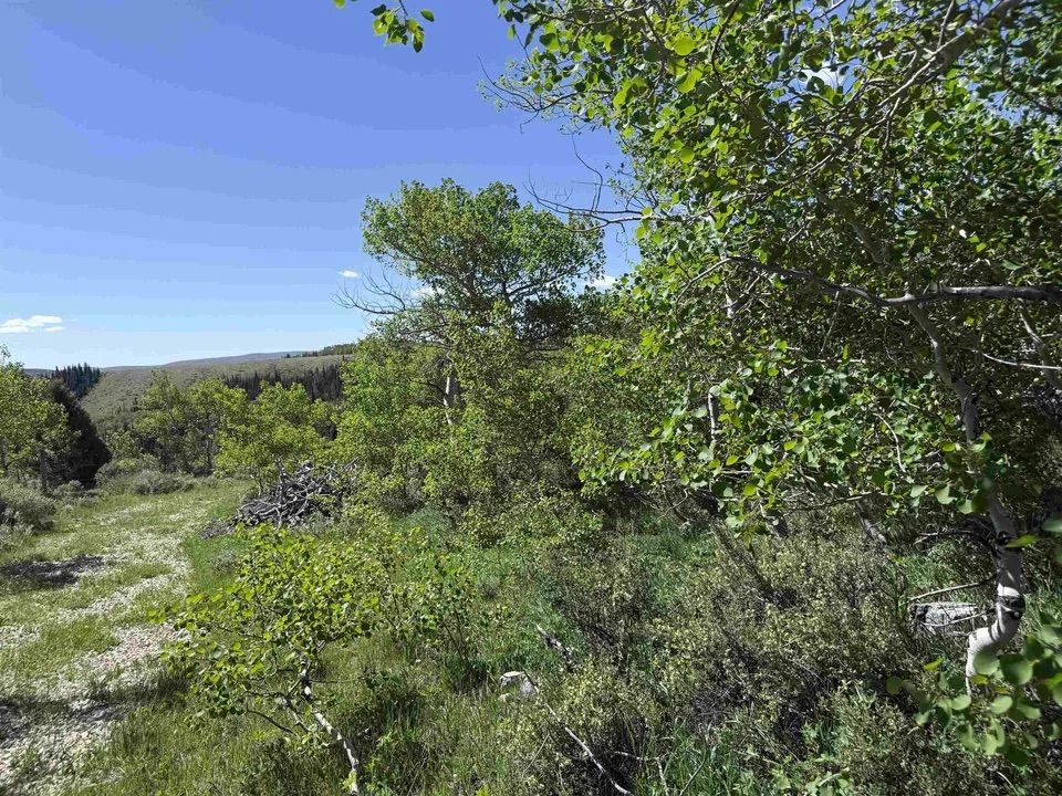 Main image 21