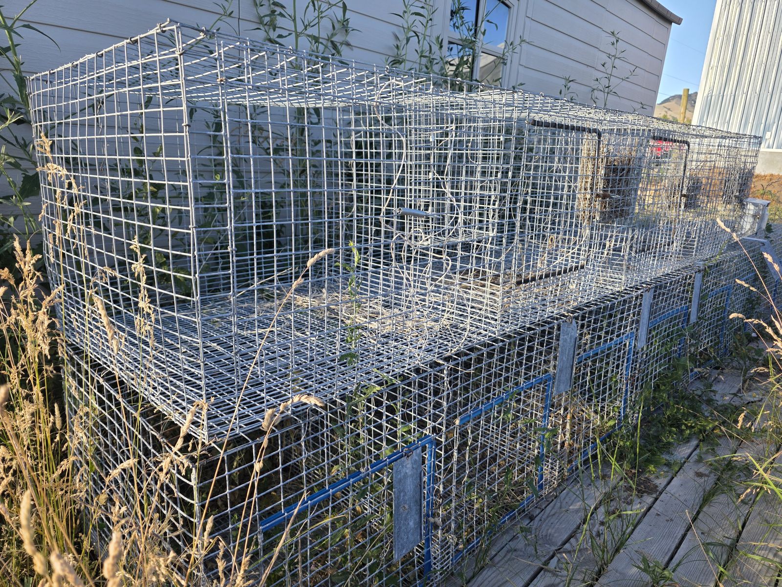 Rabbit Cages