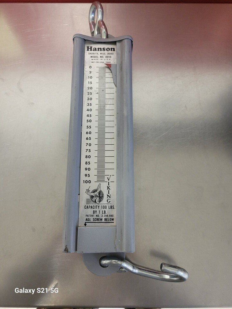 Scale ~ Hanging Hanson