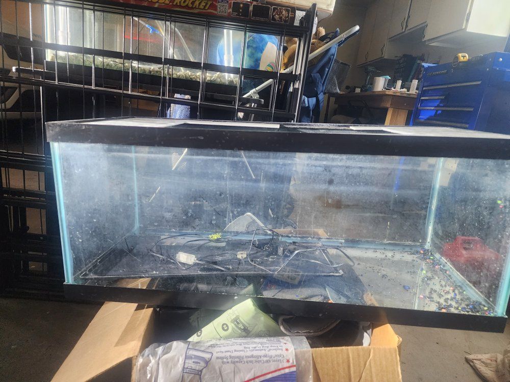 Used 20 Gallon long Glass Aquarium Fish Tank