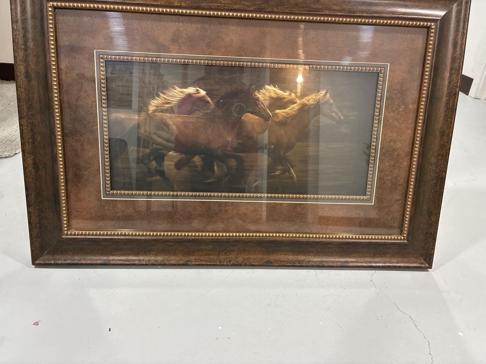 Deoratuve Horse Picture