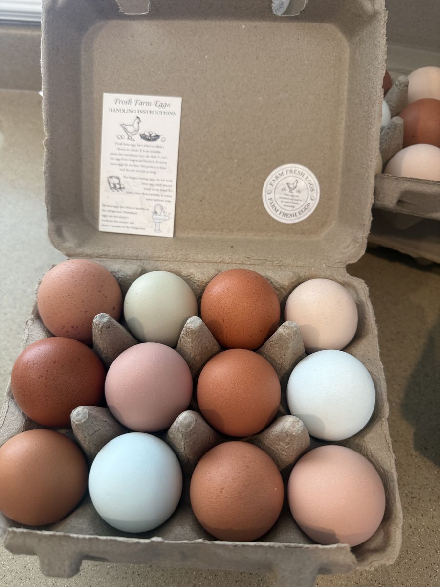 Organic Farm Raised Eggs