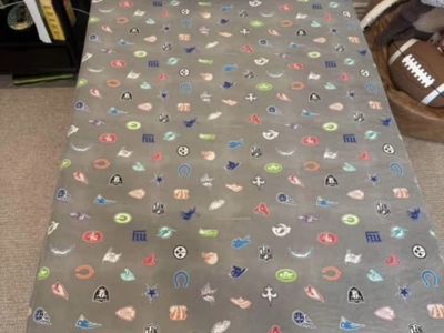 NFL Twin Sheets (Pottery Barn Teen )